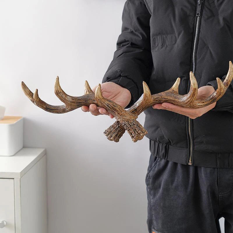 Bois de cerf décoration murale