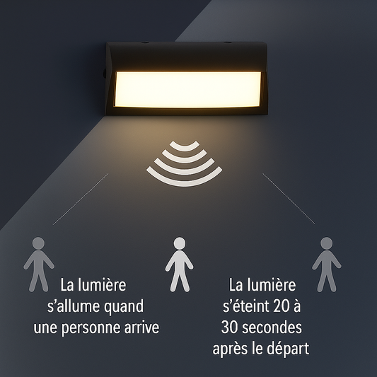 Lumière extérieure murale